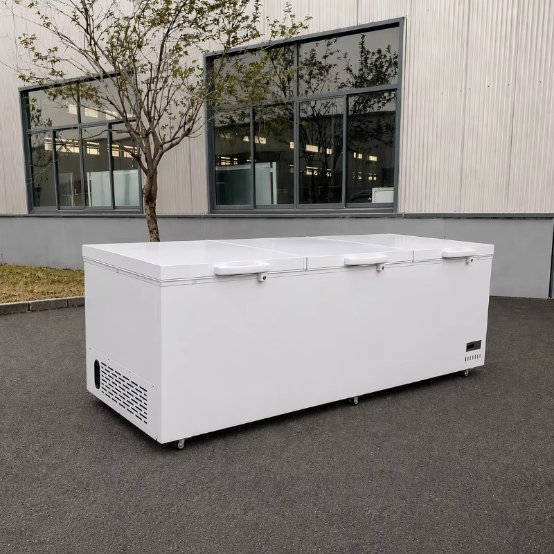 Stainless Steel Material Super - Commercial Chest Freezer review and price